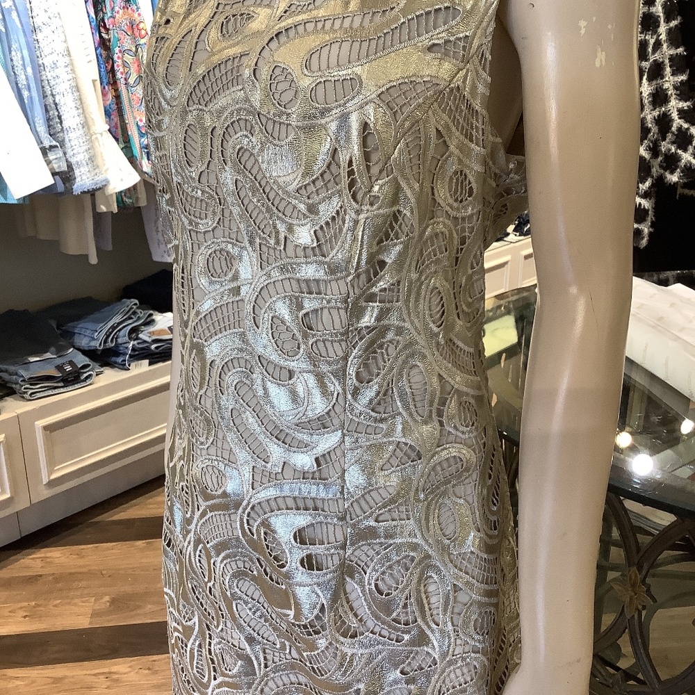 Silver lace shift dress Lyman designs. Soft vegan metallic silver stunning